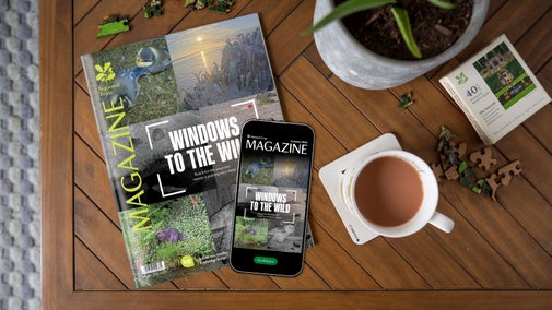 The autumn 2026 edition of the National Trust magazine